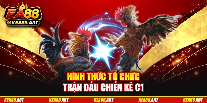 Hình thức tổ chức trận đấu chiến kê C1