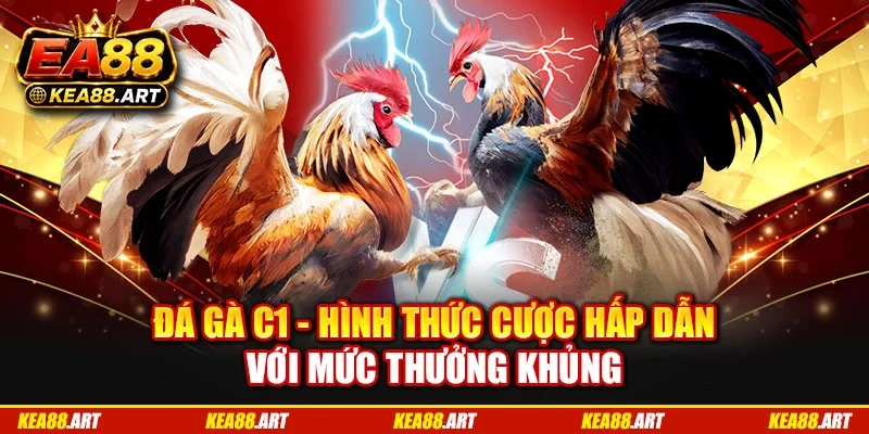 Đá gà C1 - Hình Thức Cược Hấp Dẫn Với Mức Thưởng Khủng