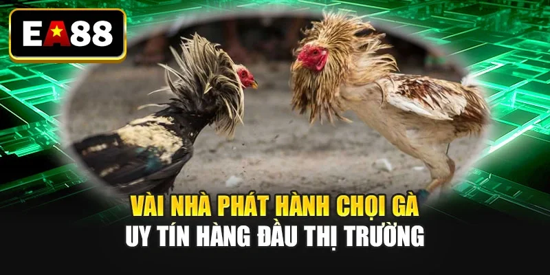 Vài nhà phát hành chọi gà uy tín hàng đầu thị trường