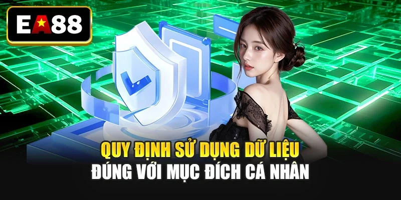 Quy định sử dụng dữ liệu đúng với mục đích cá nhân