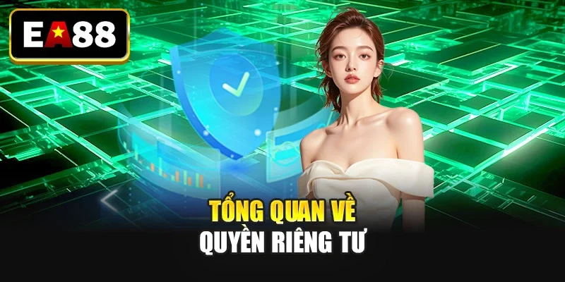 Tổng quan về quyền riêng tư