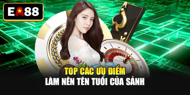 Top các ưu điểm làm nên tên tuổi của sảnh