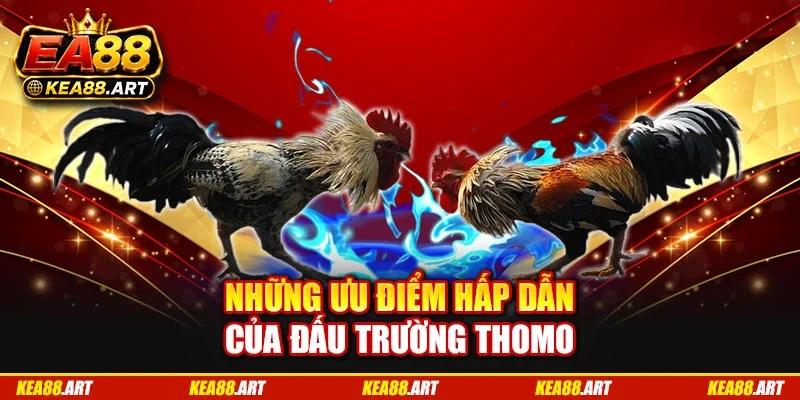 Những ưu điểm hấp dẫn của đấu trường Thomo